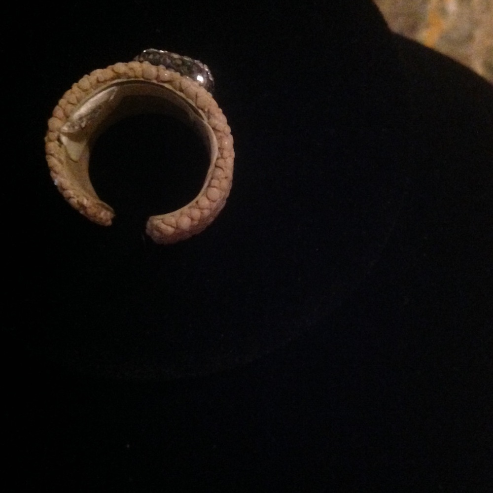 Lizard /druzy ring - Picture 3 of 3